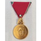 Hungarian Volunteer Firefighter Service Medal LX Years
