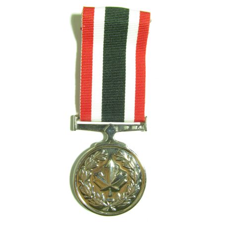 Canadian The Special Service Medal