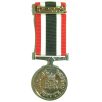 Canadian The Special Service Medal