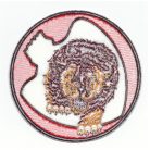 US Air Force  Doolittle Raiders 37th Bombe Squadrons  PATCH