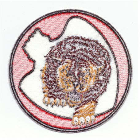 US Air Force  Doolittle Raiders 37th Bombe Squadrons  PATCH