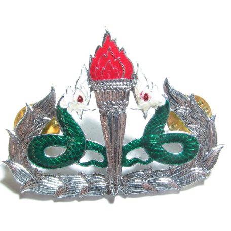 Thai Medical Warfare Badge