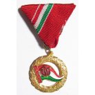 Hungarian Pioneer Leader Medal