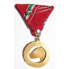Hungarian Pioneer Leader Medal