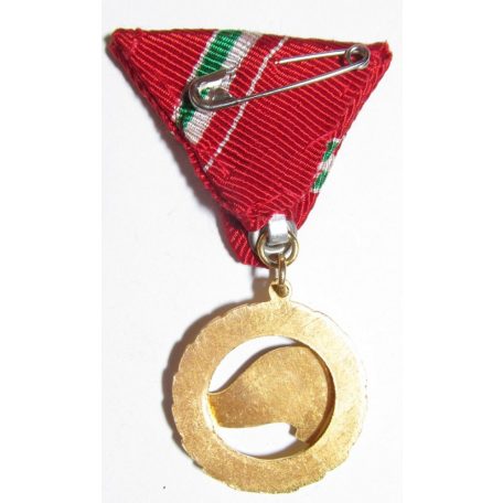 Hungarian Pioneer Leader Medal