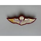 Indonesia Penerjun Polri Parachute Wings on Red background Felt Badge