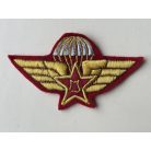 Share China Parachute Airborne Wings Patch
