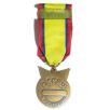 China-Taiwan War Memorial Medal (miniature)