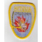 Austin (Texas) Fire Department Patch