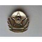 China People's Liberation Army Air Force Cap Badge