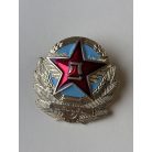 China People's Liberation Army Air Force Cap Badge