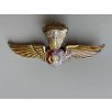 Indonesian Army Military Para Airborne Wings Badge