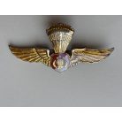 Indonesian Army Military Para Airborne Wings Badge