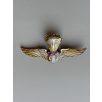 Indonesian Army Military Para Airborne Wings Badge