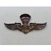 Indonesian Army Military Para Airborne Wings Badge
