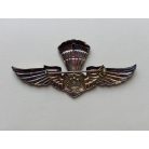 Indonesian Army Military Para Airborne Wings Badge