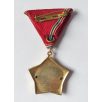 Hungarian Excellent Work Medal - Ministry of Health device