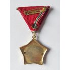 Hungarian Excellent Work Medal - Ministry of Health device