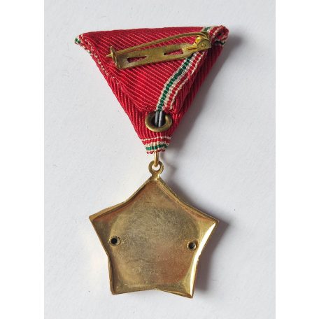 Hungarian Excellent Work Medal - Ministry of Health device