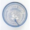 The United Nations (UN) Shoulder PATCH