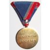 Hungarian Defence Medal for 20 Years of Service