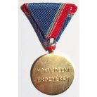 Hungarian Defence Medal for 20 Years of Service