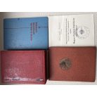 Hungarian WW2 Partisan Medal set with award certificate and photo IDs