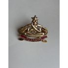 Indonesia "Rala Suntai" Scuba diver Badge