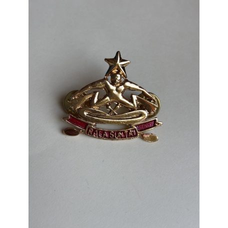 Indonesia "Rala Suntai" Scuba diver Badge