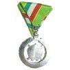  Hungarian Medal (Warsaw Pact) Brothers in Arms Medal, Silver Grade