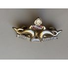 Indonesia Master Scuba Diver of Ministry of Interior (Police) Selam Polri Badge