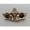   Indonesia Master Scuba Diver of Ministry of Interior (Police) Selam Polri Badge