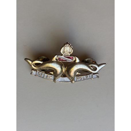 Indonesia Master Scuba Diver of Ministry of Interior (Police) Selam Polri Badge