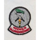 US Clemson Counter Guerrillas Patch