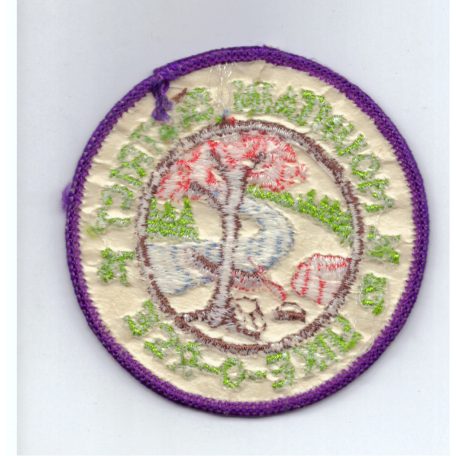 Hike-o-ree 1975 N. Mountain District PATCH