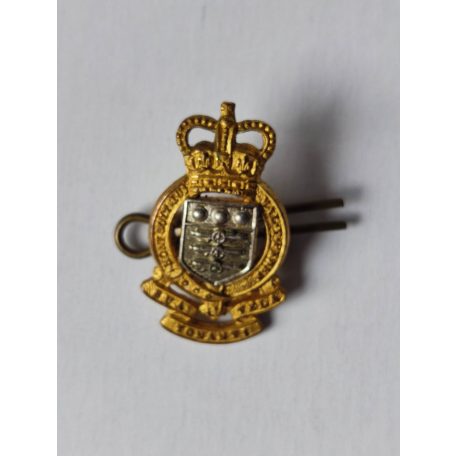 British Army Royal Army Ordnance Corps Officer's Collar Badges small version