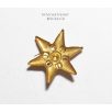 Austrian WW1 Golden Rank Stars for officiers (1 Piece)