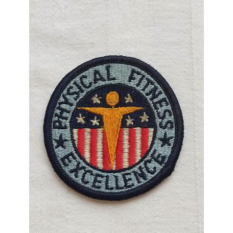  US Army Physical Fitness Excellence Military Patch 