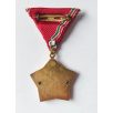 Hungarian Excellent Work Medal 
