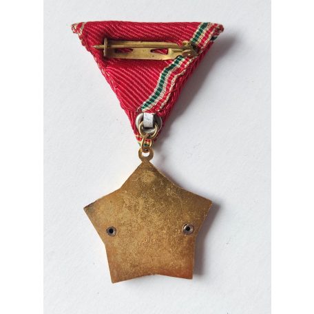 Hungarian Excellent Work Medal 