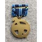 USA US NASA full size Outstanding leadership medal