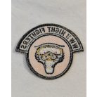 WWII US Air Force Night Fighters Patch