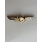 Indonesian Air Force Basic Parachutist Badge