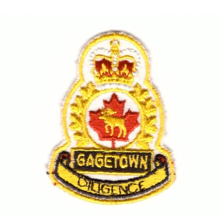 5th Canadian Division Support Base Gagetown PATCH