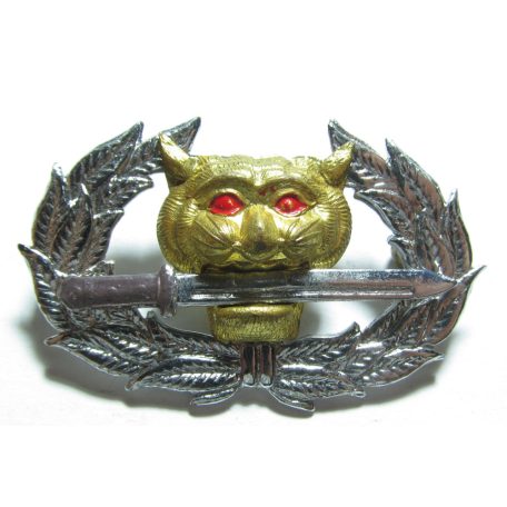 Royal Thai Army Ranger Badge