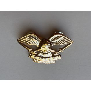   Indonesia TNI Pemburu Army Task Force Eagle Hunter Wings Badge