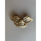 Indonesia TNI Pemburu Army Task Force Eagle Hunter Wings Badge