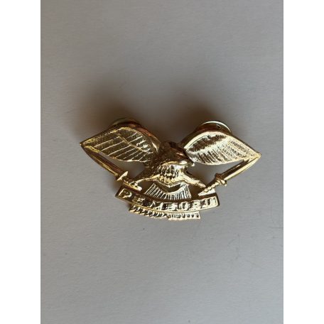 Indonesia TNI Pemburu Army Task Force Eagle Hunter Wings Badge