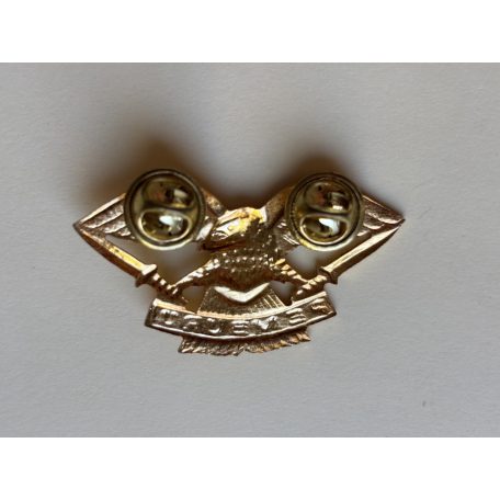 Indonesia TNI Pemburu Army Task Force Eagle Hunter Wings Badge
