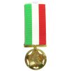  UAE Liberation of Kuwait Medal Third Class A bright gilt medal - Desert Storm